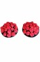 1-Pair-Lucky-Nipple-Covers-LC0518